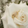 JLUXLABEL Gold Davi Paved Ring